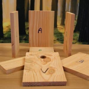 Bouwpakket koolmees robuust