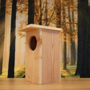 Alternative view of Holenduif robuust