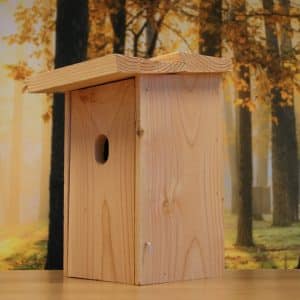 Alternative view of Gekraagde roodstaart