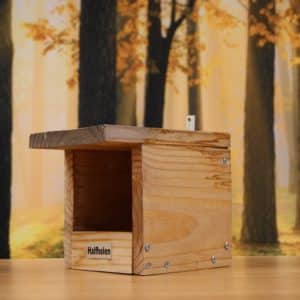 Alternative view of Halfholen laag