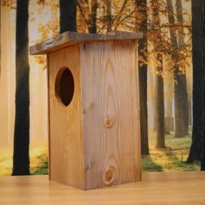 Alternative view of holenduif modern