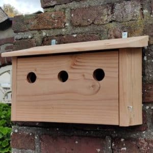 Alternative view of Huismushotel