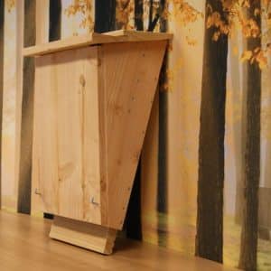 Alternative view of Grootoorvleermuis