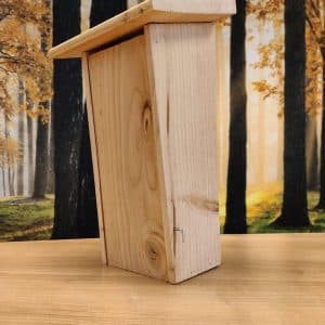 Alternative view of Boomkruiper