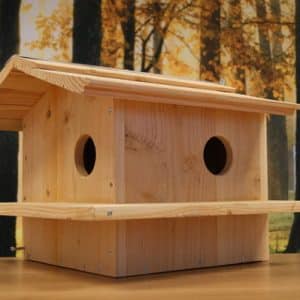 Alternative view of Eekhoorn