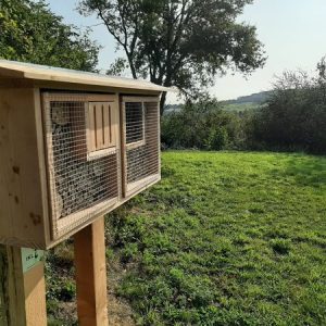 Alternative view of Insectenhotel 2 kamers