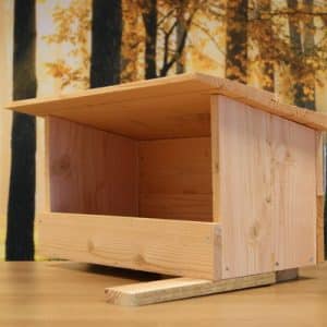 Alternative view of Torenvalk