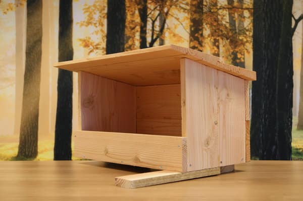 Torenvalk - Afbeelding 2