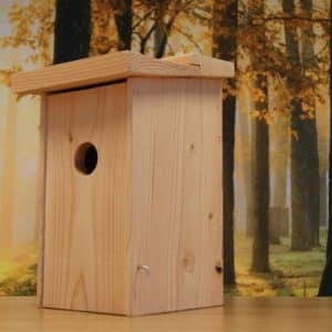 Alternative view of Spreeuw modern