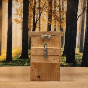 Alternative view of Spreeuw robuust