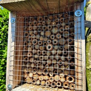 Alternative view of Bijenhuis