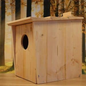 Alternative view of Bosuil