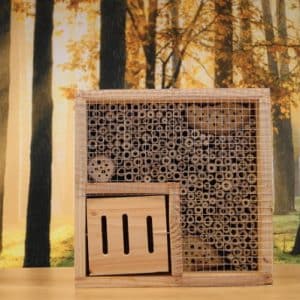 Alternative view of Bijenvilla