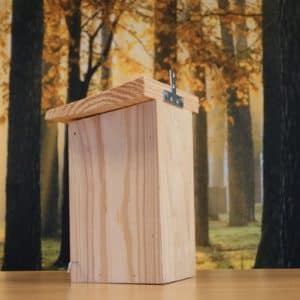 Alternative view of Huismus modern